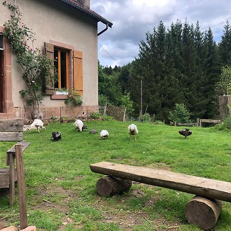 A L'Oree De Soi - Maison Forestiere De La Soie - Eco Gite, Chambres D'Hotes, Camping Au Pied Des Vosges Saint-Sauveur  Buitenkant foto
