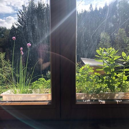 A L'Oree De Soi - Maison Forestiere De La Soie - Eco Gite, Chambres D'Hotes, Camping Au Pied Des Vosges Saint-Sauveur  Buitenkant foto