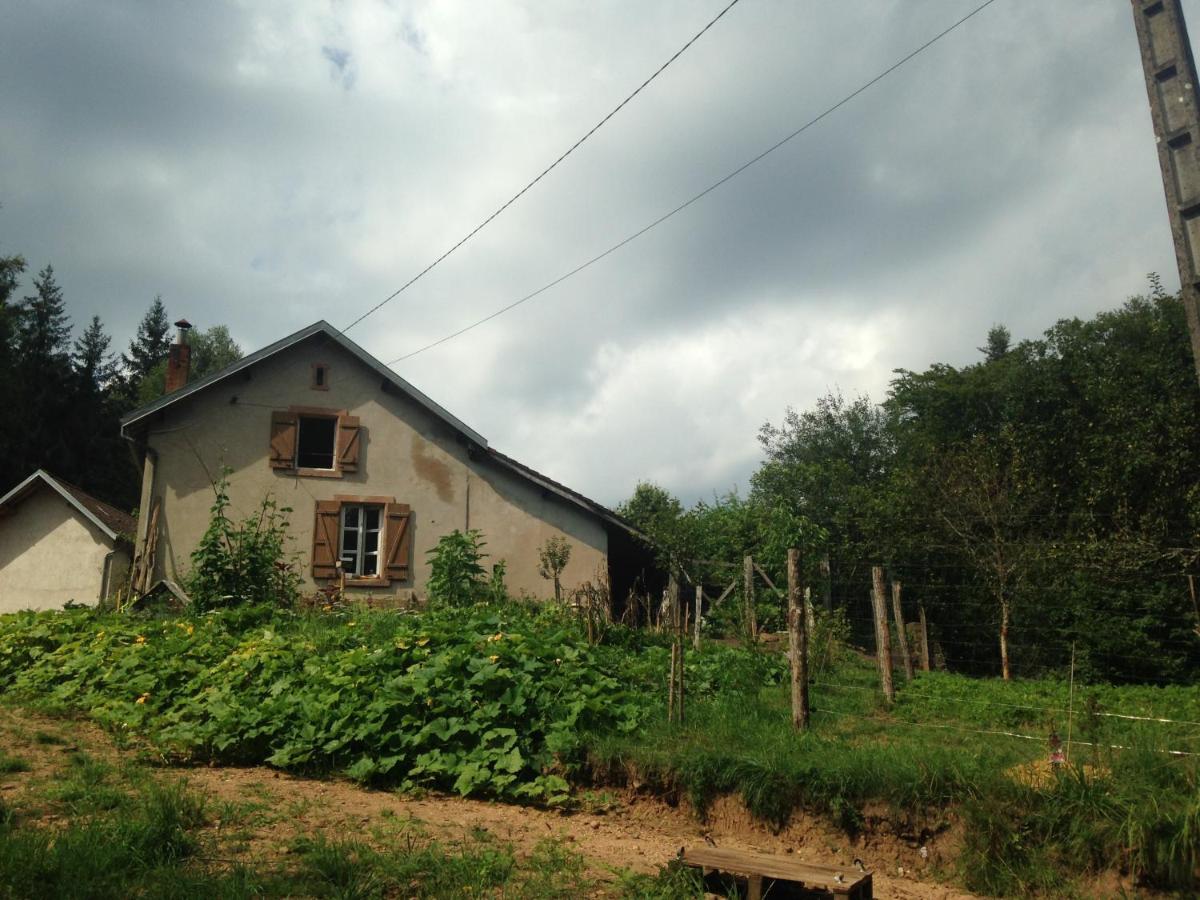 A L'Oree De Soi - Maison Forestiere De La Soie - Eco Gite, Chambres D'Hotes, Camping Au Pied Des Vosges Saint-Sauveur  Buitenkant foto