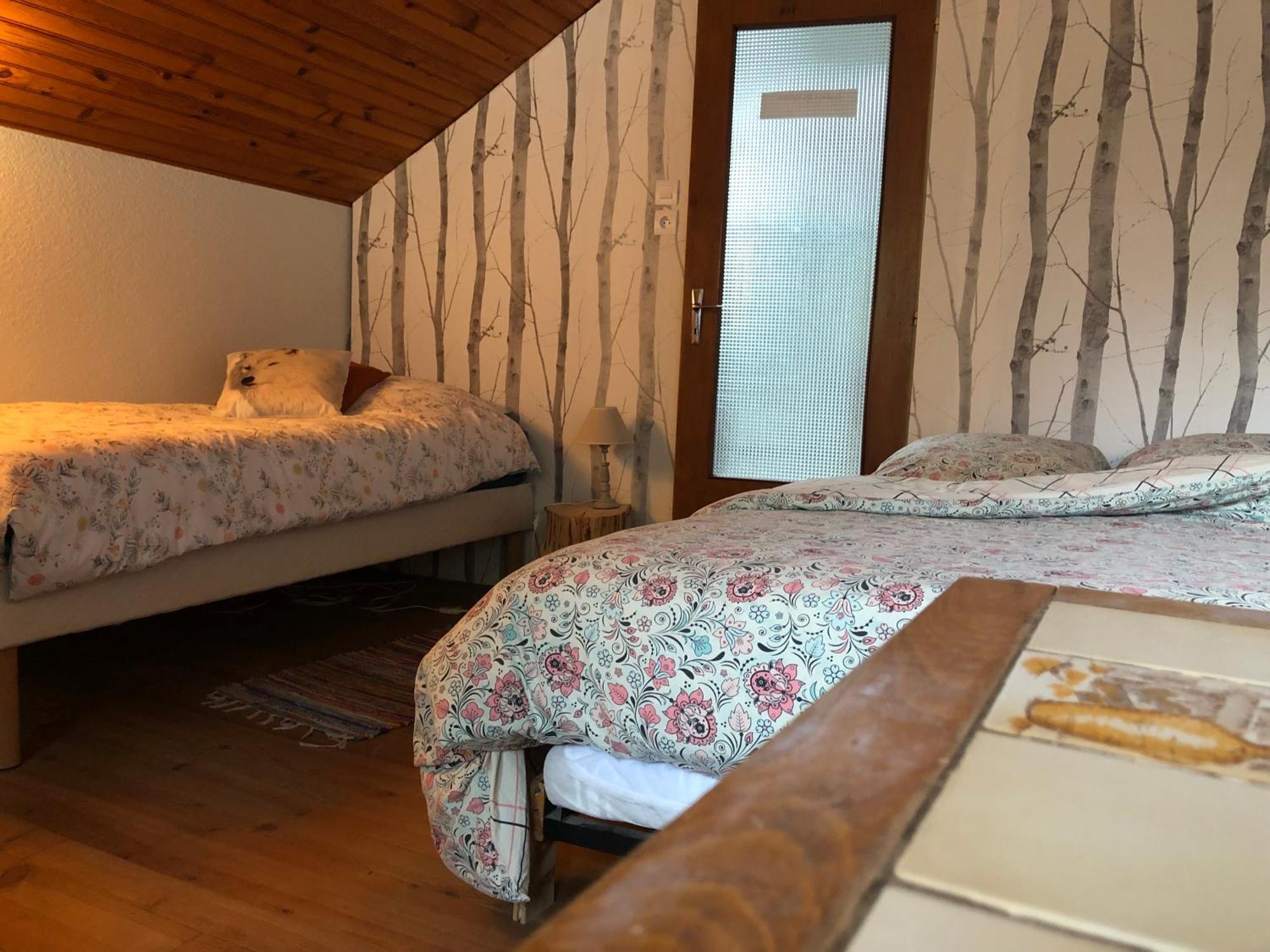 A L'Oree De Soi - Maison Forestiere De La Soie - Eco Gite, Chambres D'Hotes, Camping Au Pied Des Vosges Saint-Sauveur  Buitenkant foto