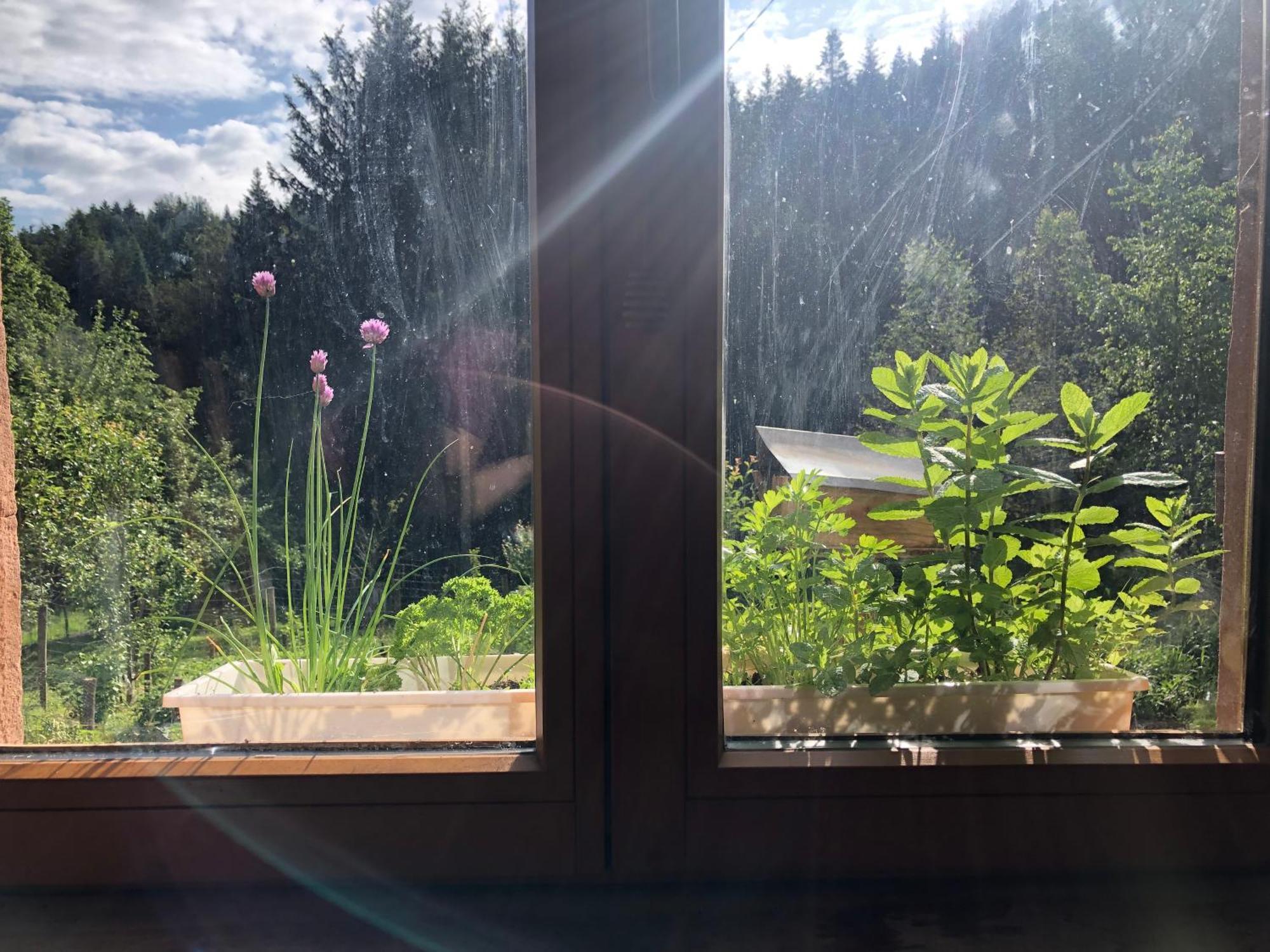 A L'Oree De Soi - Maison Forestiere De La Soie - Eco Gite, Chambres D'Hotes, Camping Au Pied Des Vosges Saint-Sauveur  Buitenkant foto