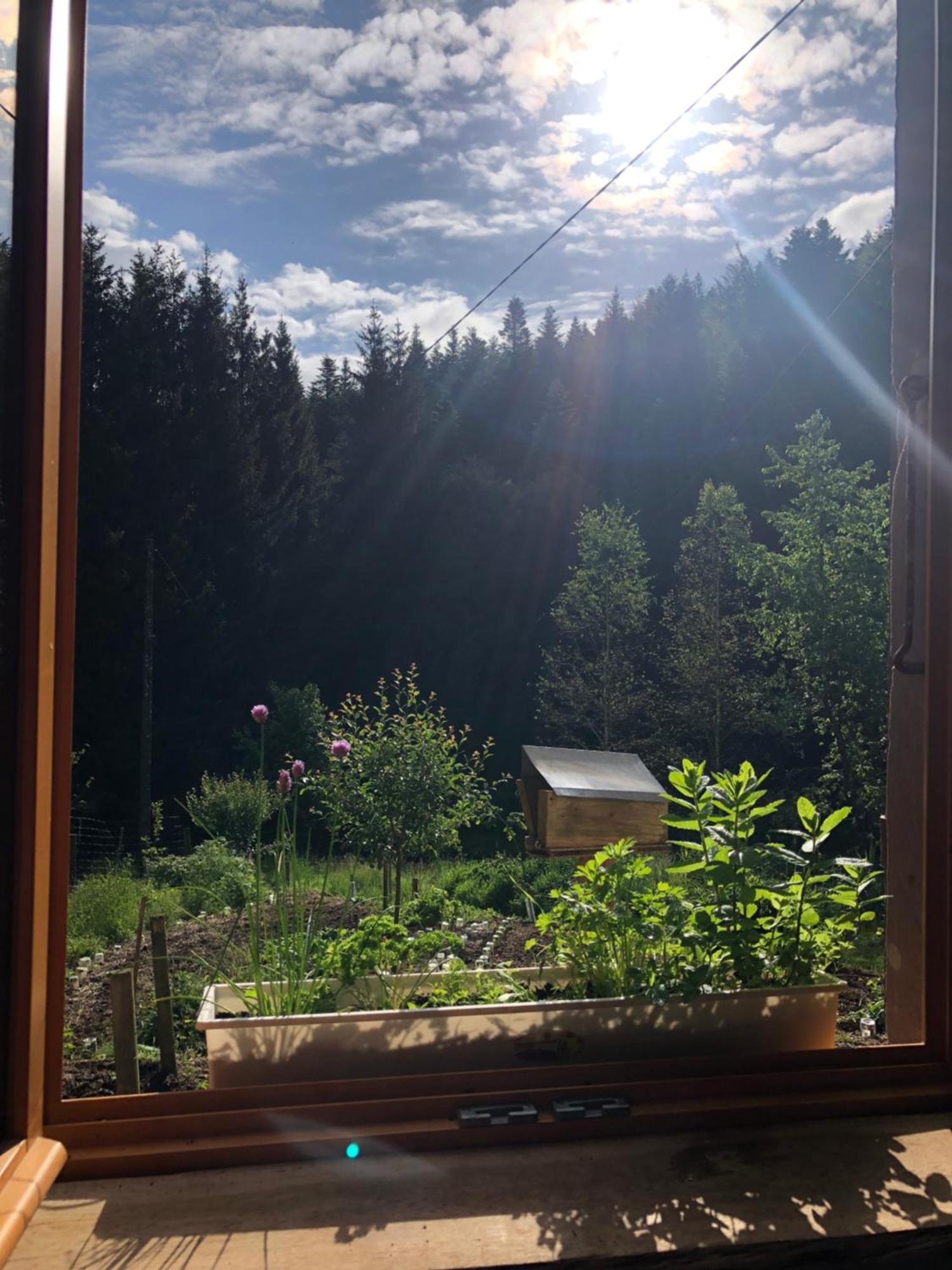 A L'Oree De Soi - Maison Forestiere De La Soie - Eco Gite, Chambres D'Hotes, Camping Au Pied Des Vosges Saint-Sauveur  Buitenkant foto