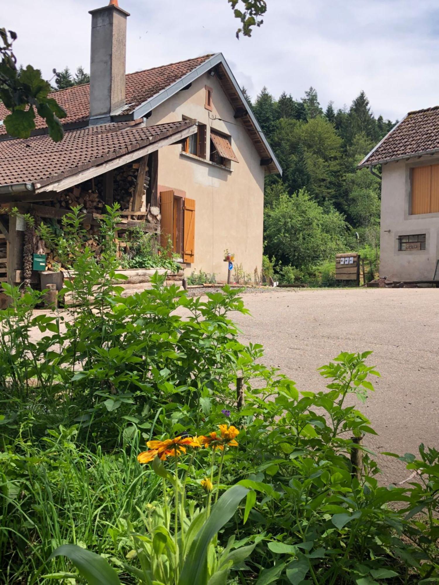 A L'Oree De Soi - Maison Forestiere De La Soie - Eco Gite, Chambres D'Hotes, Camping Au Pied Des Vosges Saint-Sauveur  Buitenkant foto