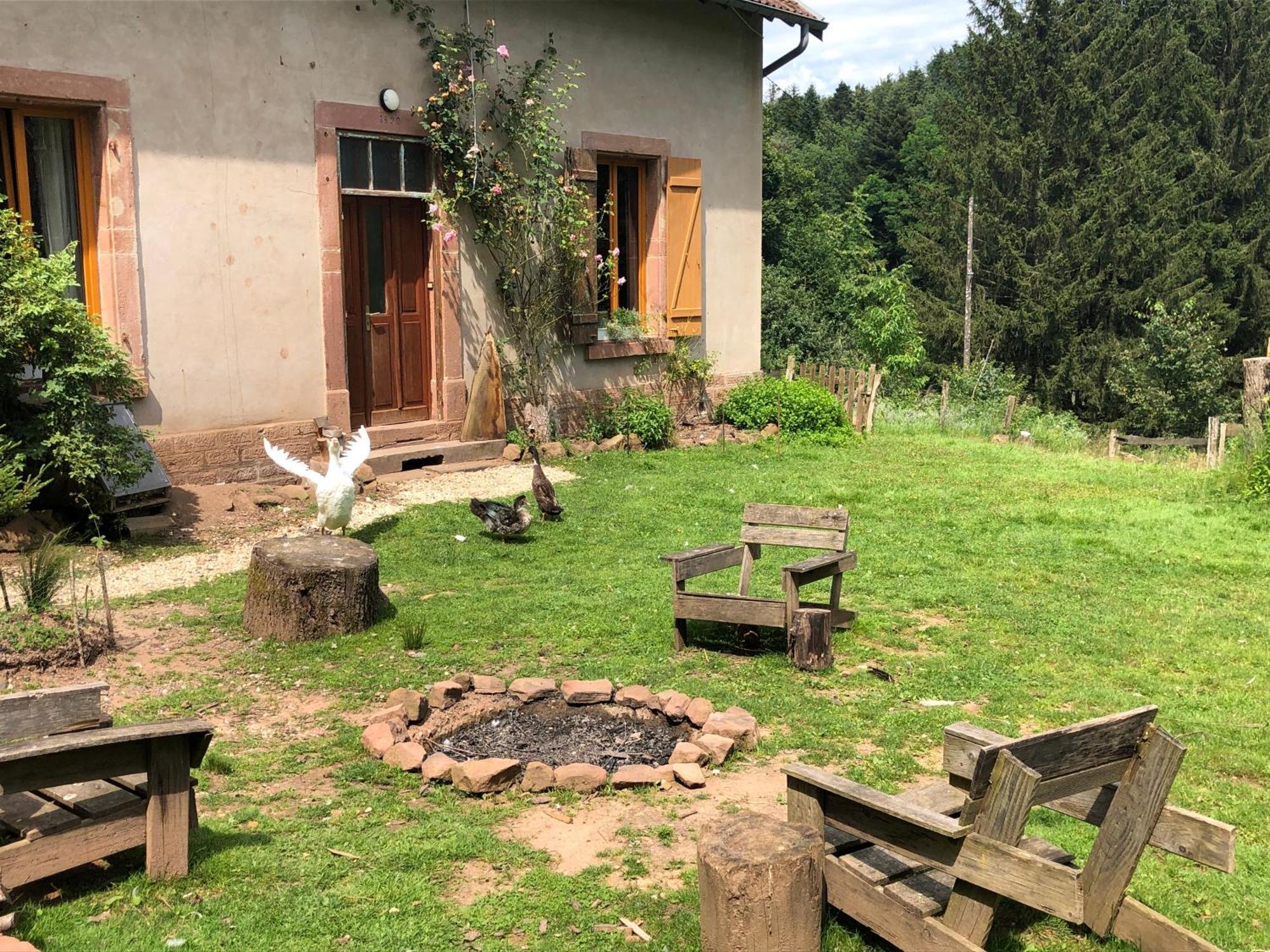 A L'Oree De Soi - Maison Forestiere De La Soie - Eco Gite, Chambres D'Hotes, Camping Au Pied Des Vosges Saint-Sauveur  Buitenkant foto