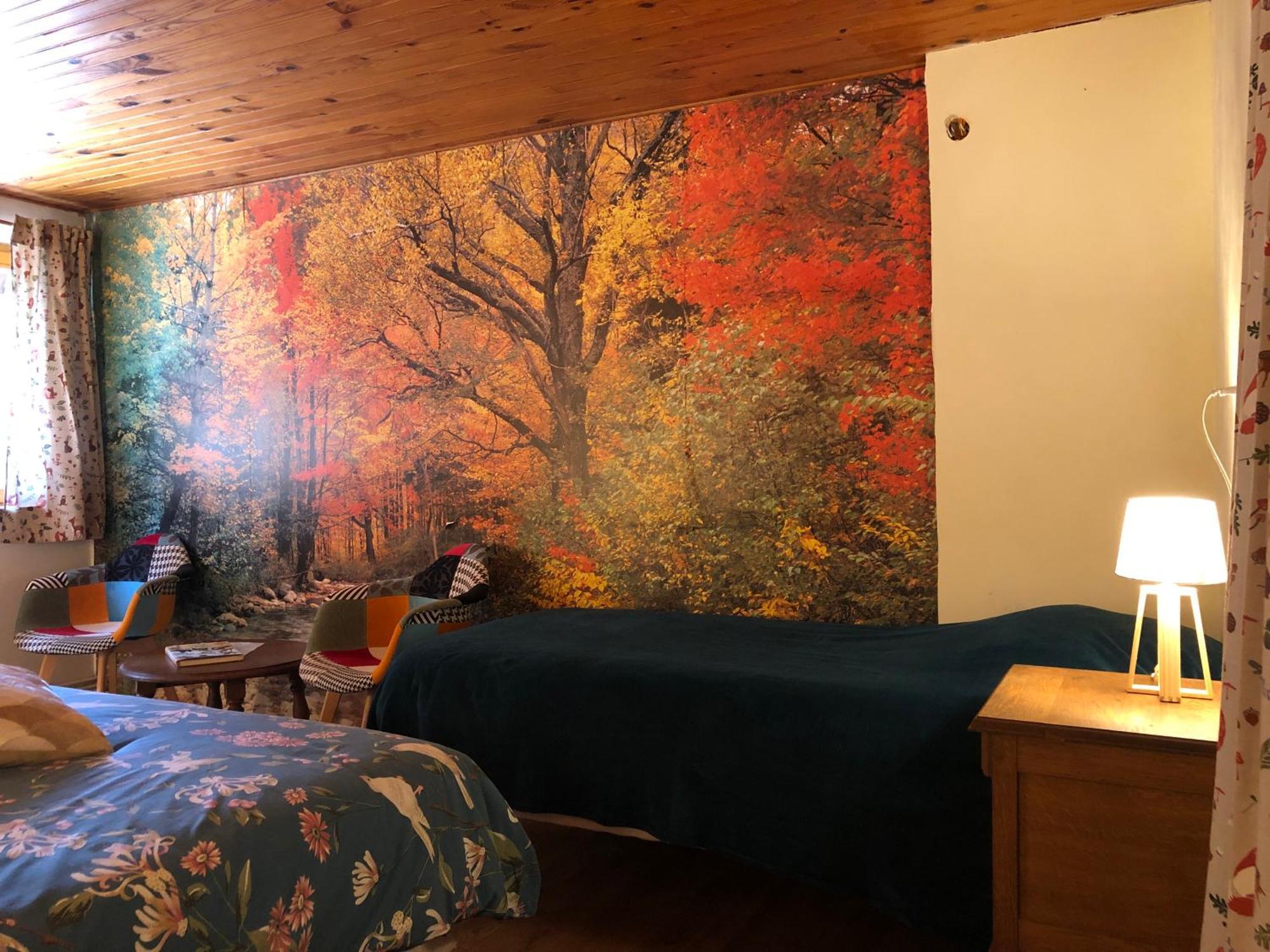 A L'Oree De Soi - Maison Forestiere De La Soie - Eco Gite, Chambres D'Hotes, Camping Au Pied Des Vosges Saint-Sauveur  Buitenkant foto